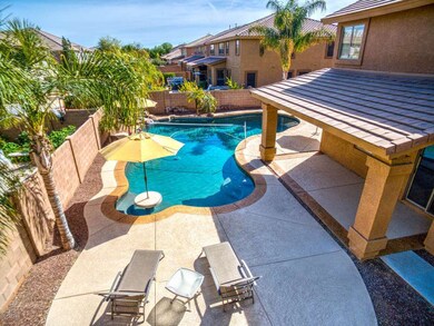 back yard