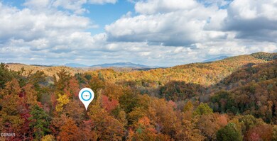 homesandvideos aerials-13347m