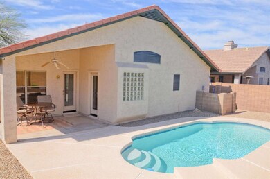 Patio and Pool