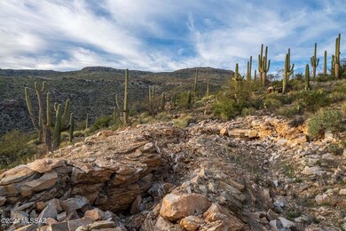 12979 E Cabeza de Vaca St unit Lot E, Tanque Verde, AZ 85749 - photo 7