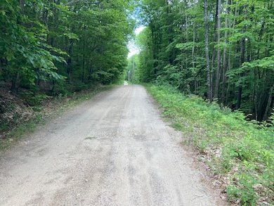 M4 L9-7 Rosenberg Rd, Sumner, ME 04292 - photo 2