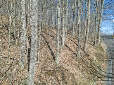 16 Chestnut Village unit 16, Mars Hill, NC 28754 - photo 6