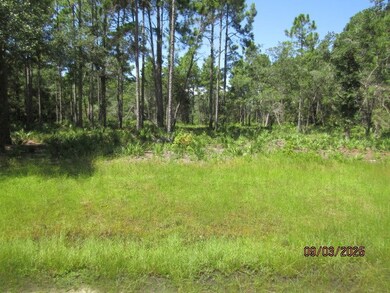 315 Gramercy Plantation Rd, Eastpoint, FL 32328 - photo 6