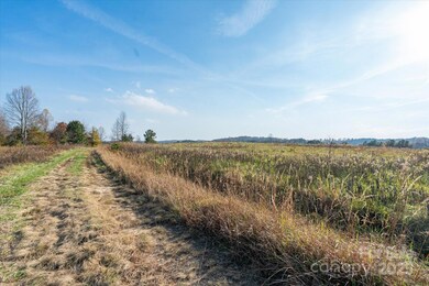 1888 Pea Ridge Rd, Mill Spring, NC 28756 - photo 7