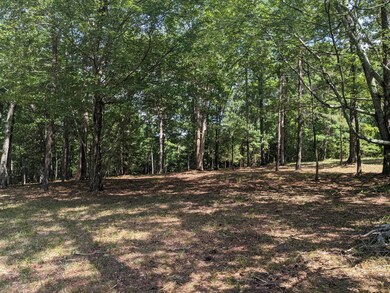 000 Water View Dr, Lincolnton, GA 30817 - photo 6