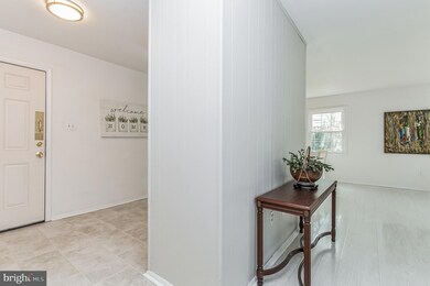 4105 Mount Echo Ln, Fairfax, VA 22033 - photo 3