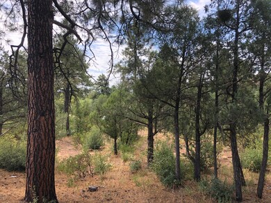 608 N Trailhead Dr unit 16, Payson, AZ 85541 - photo 6