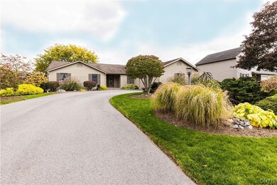 Beautiful, easy maintenance landscaping !!!
  Dri