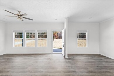 6782 Siloam Rd, Siloam, NC 27047 - photo 4