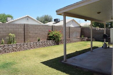 003 - Backyard & Patio