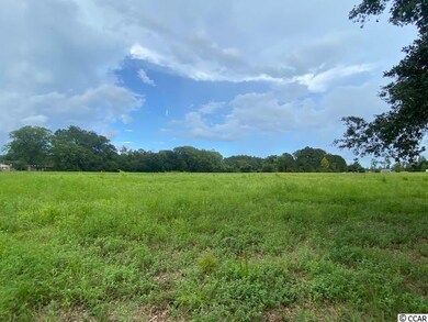 Lot 4A Antioch Rd, Conway, SC 29527 - photo 6