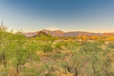 17994 E Via Jardin, Gold Canyon, AZ 85118 - photo 4