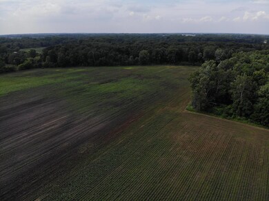 V/L 64th Ave, Paw Paw, MI 49079 - photo 5