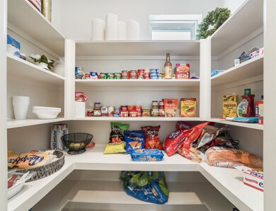 11034 Pinto Dr, Needville, TX 77461 - photo 4