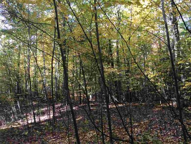 685 N Pembroke Rd, Pembroke, NH 03275 - photo 4