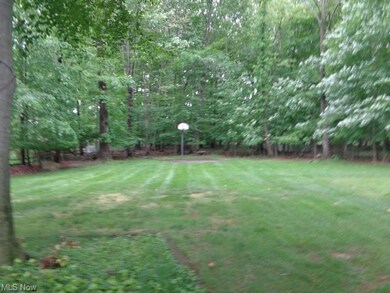 Rear Yard