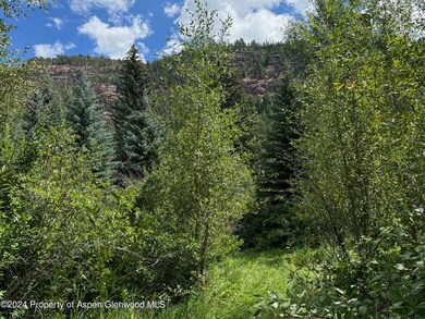 TBD Redstone Blvd, Redstone, CO 81623 - photo 3