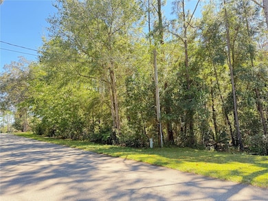 1188 W Pearson St, Hernando, FL 34442 - photo 2