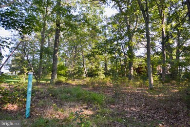 1705 Coster Dr, Shady Side, MD 20764 - photo 6