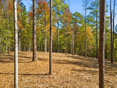 0 Nimmons Bridge Rd, Salem, SC 29676 - photo 7