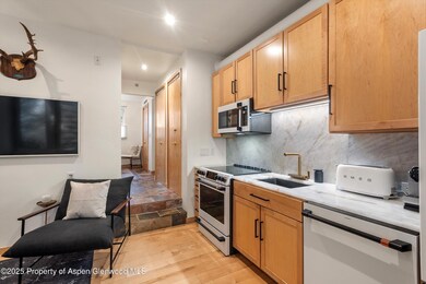 434 E Main St unit 102, Aspen, CO 81611 - photo 5