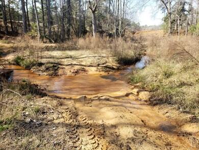 TBD County Road 153, Nacogdoches, TX 75965 - photo 6