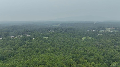 0 S Amherst Hwy unit 362100, Monroe, VA 24574 - photo 3