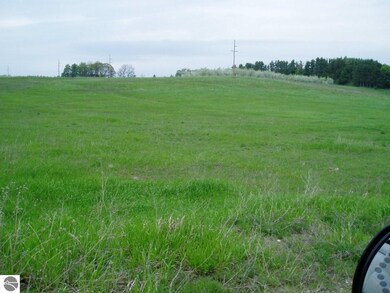 0 S Bugai Rd, Cedar, MI 49621 - photo 2