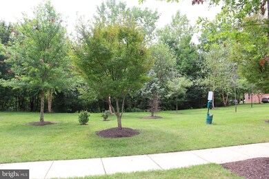 8204 Riggos Way, Hyattsville, MD 20785 - photo 6