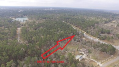 6203 S Trace Dr, Magnolia, TX 77354 - photo 2