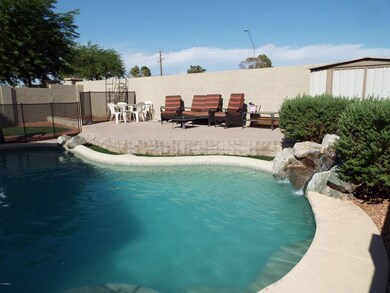 backyard (2)