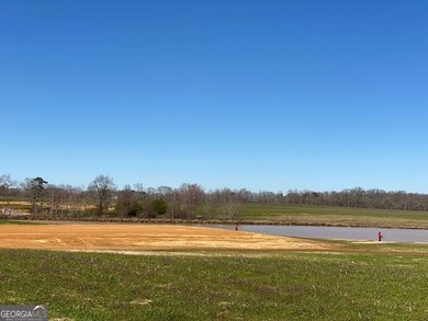 Lot 6 Homesite.jpg