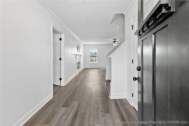 1272 Chason Rd, Lumber Bridge, NC 28357 - photo 5