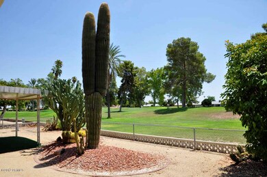 10127 W Ironwood Dr unit 6D, Sun City, AZ 85351 - photo 5