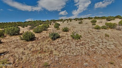 1100 W Warren Way unit 1208, Ash Fork, AZ 86320 - photo 2