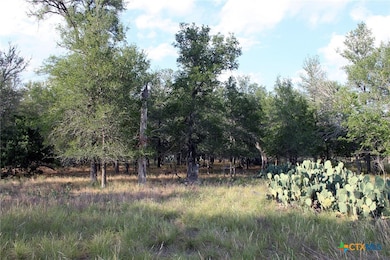 6020 Farm To Market Road 3158, Dale, TX 78616 - photo 6