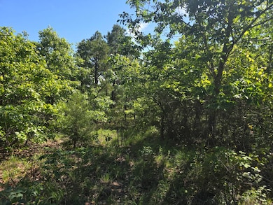 TRACT 40 Trail Ridge Rd, Albion, OK 74571 - photo 4