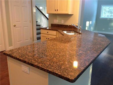 Kitchen. Shiny Granite Countertops
