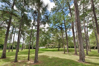 18312 49th St N Loxahatchee FL-small-008