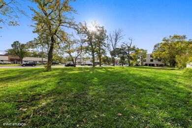 295 N Shady Ln, Elmhurst, IL 60126 - photo 5