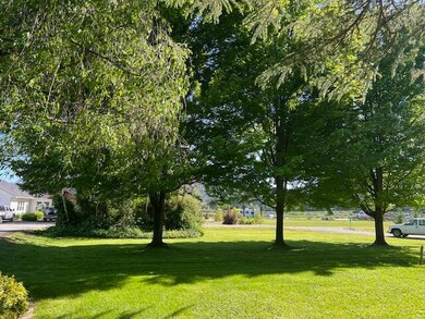 IMG_4571