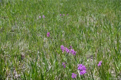 30523 Mountain View Trail unit 6, Kiowa, CO 80117 - photo 3