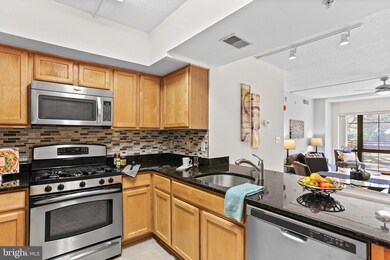 The Aurora Condominiums unit 208, Silver Spring, MD 20910 - photo 3