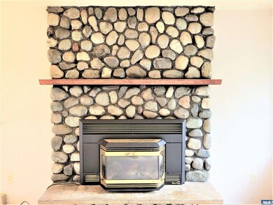 River rock from Dungeness River