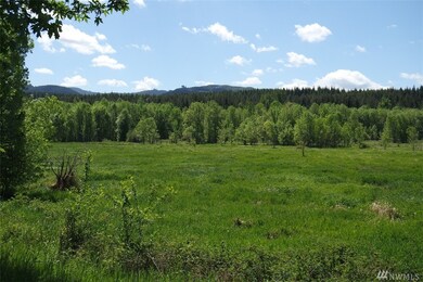 18333 Bald Hill Rd SE, Yelm, WA 98597 - photo 5