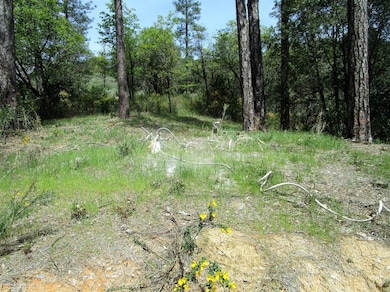 24271 Hoyt Crossing Rd, North San Juan, CA 95960 - photo 4