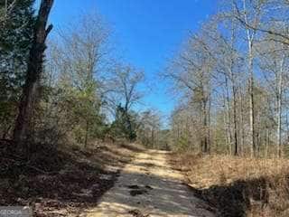 871 Eufaula Hwy, Fort Gaines, GA 39851 - photo 4