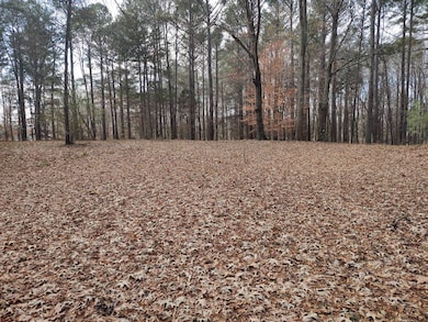 375 India Rd, Paris, TN 38242 - photo 6