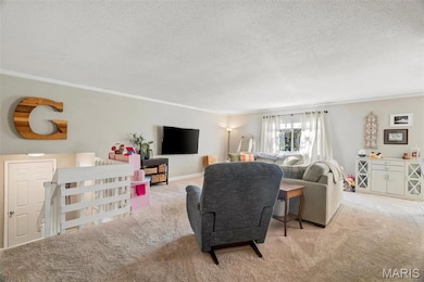 7 Amber Ct, Saint Charles, MO 63303 - photo 6