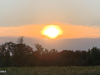 111 Old Wagon Ln, Sanford, NC 27332 - photo 3